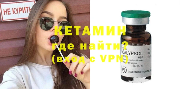 трава Ельня