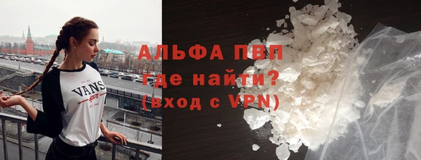 трава Ельня