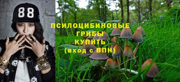 дурь Елизово