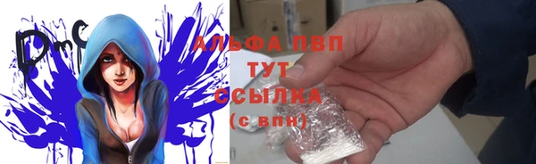трава Ельня