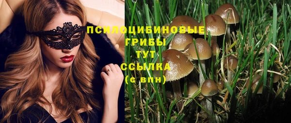 дурь Елизово