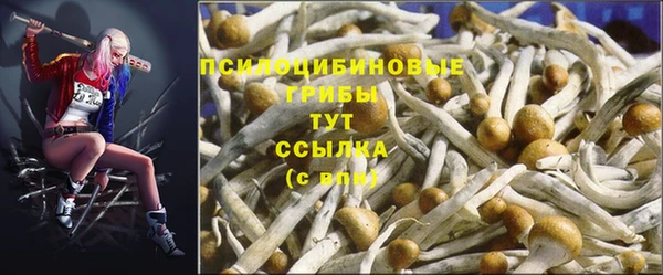 ECSTASY Елабуга