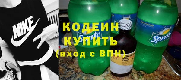 трава Ельня