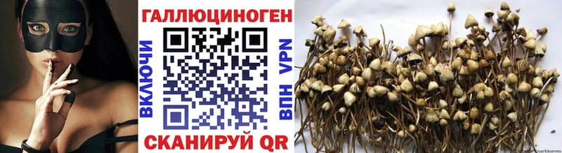 Псилоцибиновые грибы Cubensis  Купить  Почеп 